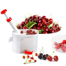 Load image into Gallery viewer, Cherry Pitter Container